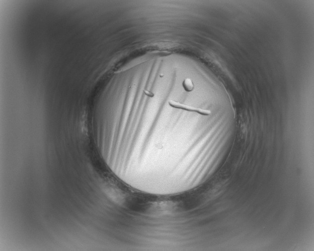 X0000071760212200607220018