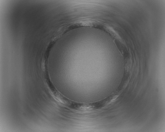 X0000071760213200607220018