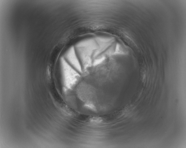 X0000071760214200607220018