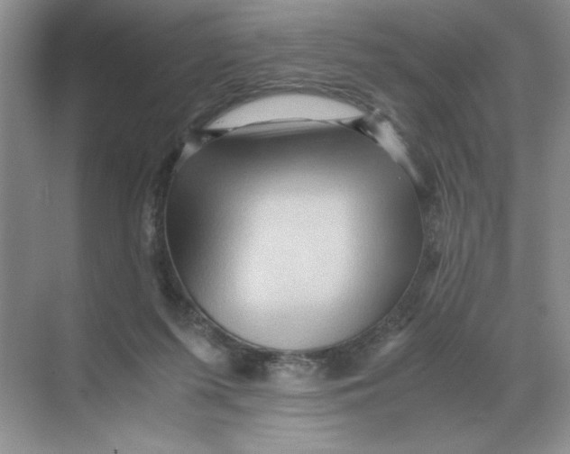 X0000071760215200607220018