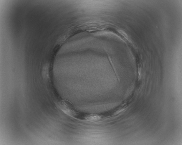 X0000071760217200607220018