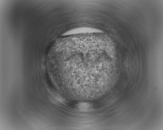 X0000071760218200607220018