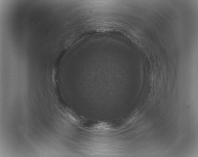 X0000071760219200607220018