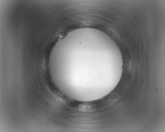 X0000071760220200607220018