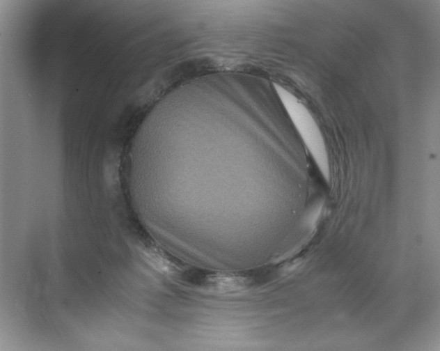 X0000071760221200607220018