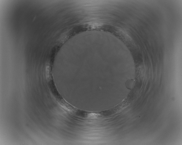 X0000071760222200607220018