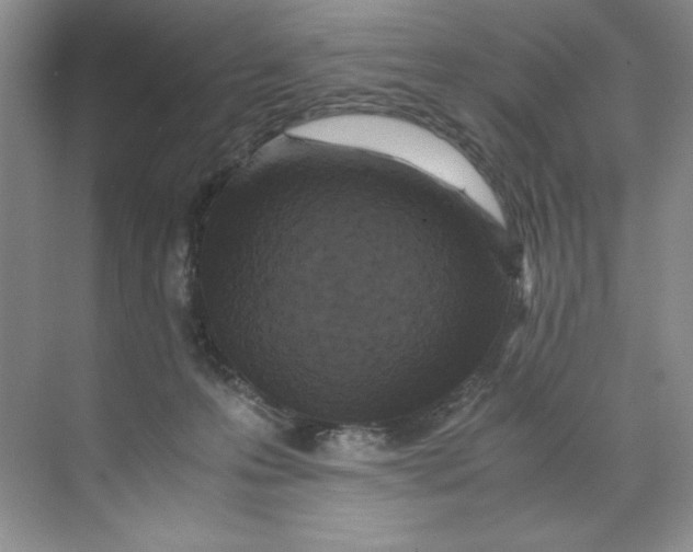 X0000071760223200607220018