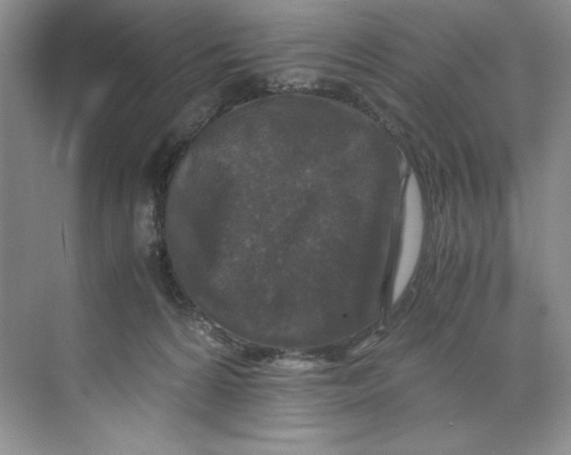 X0000071760224200607220018