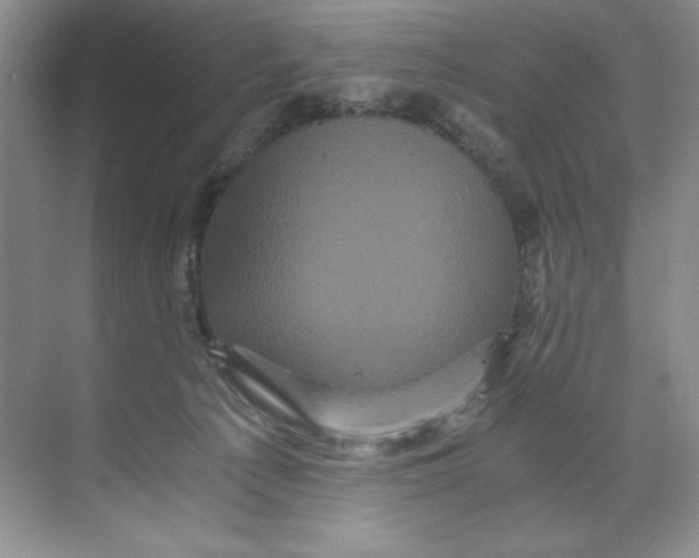 X0000071760225200607220018