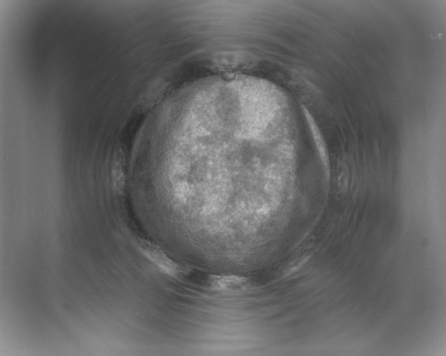 X0000071760226200607220018