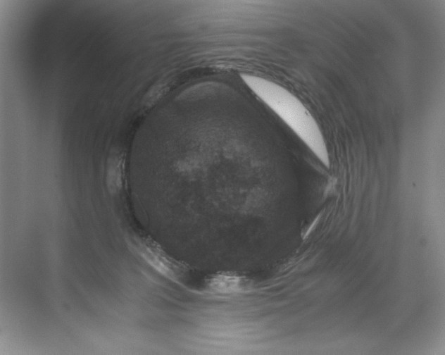 X0000071760227200607220018