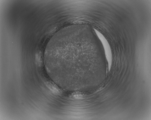 X0000071760228200607220018