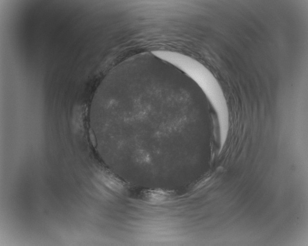 X0000071760229200607220018