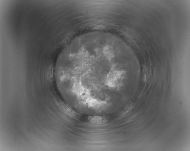 X0000071760230200607220018