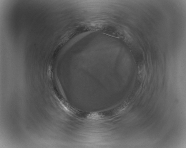 X0000071760231200607220018