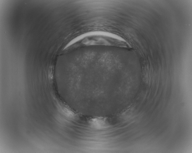 X0000071760232200607220018