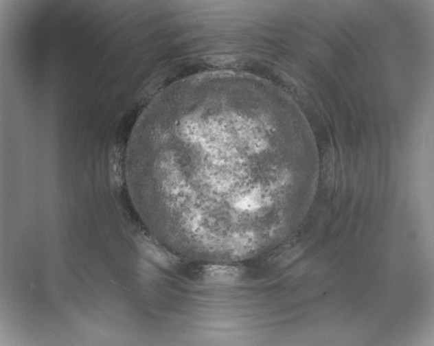 X0000071760234200607220018