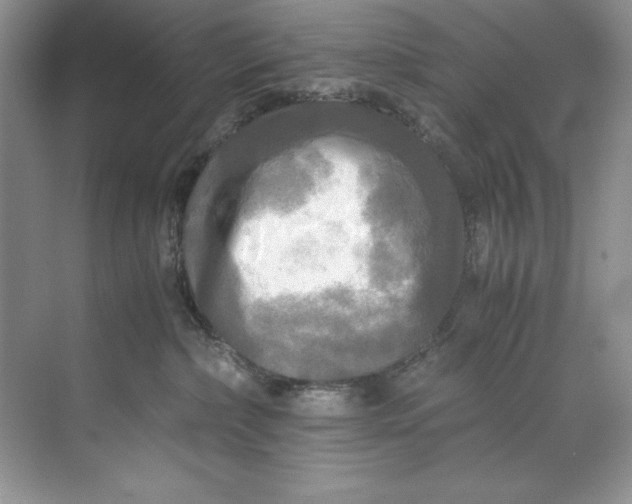 X0000071760236200607220018