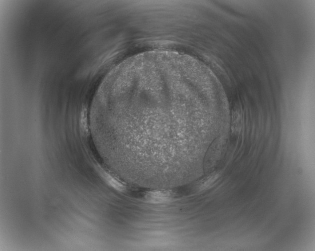 X0000071760238200607220018