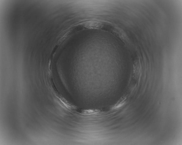 X0000071760239200607220018