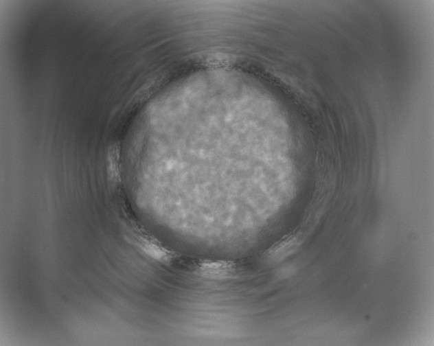 X0000071760240200607220018