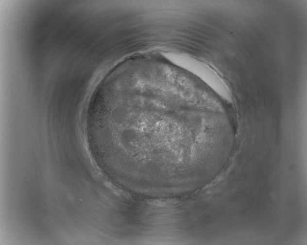 X0000071760241200607220017