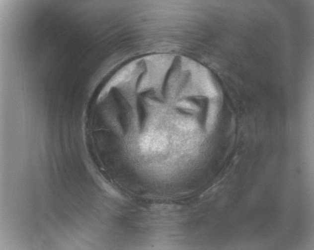 X0000071760242200607220017