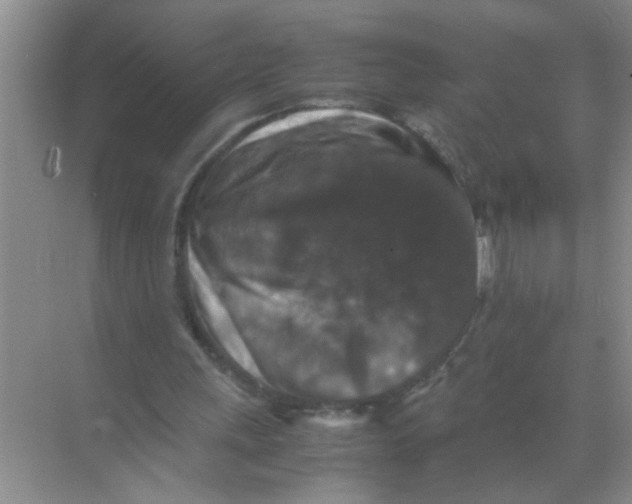 X0000071760243200607220017