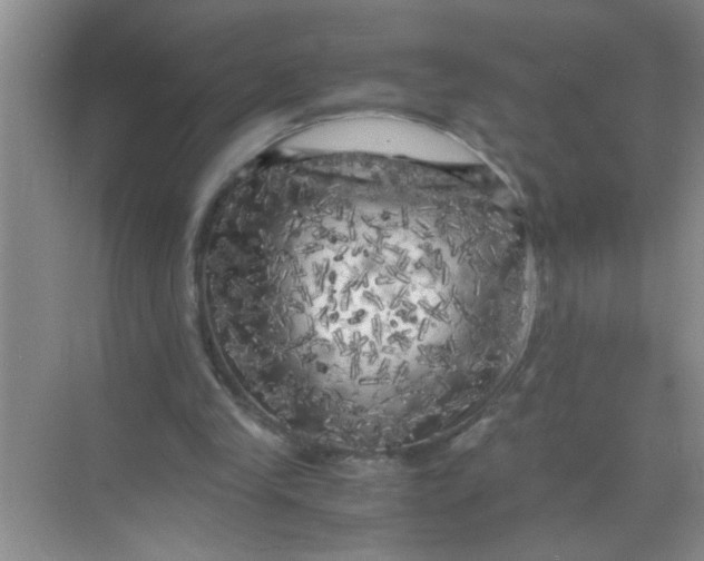 X0000071760245200607220017