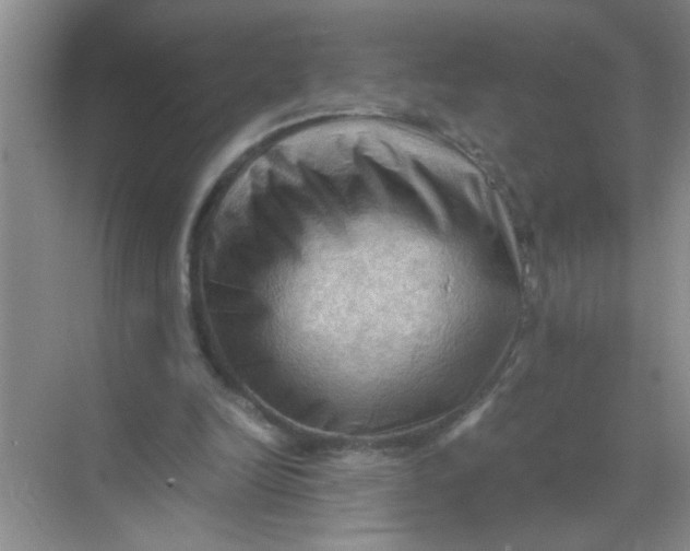 X0000071760246200607220017