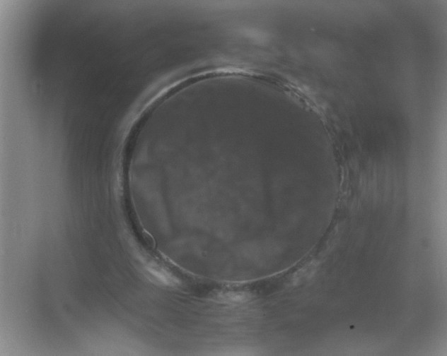 X0000071760247200607220017