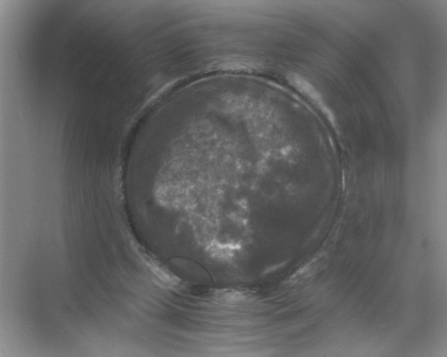 X0000071760249200607220017