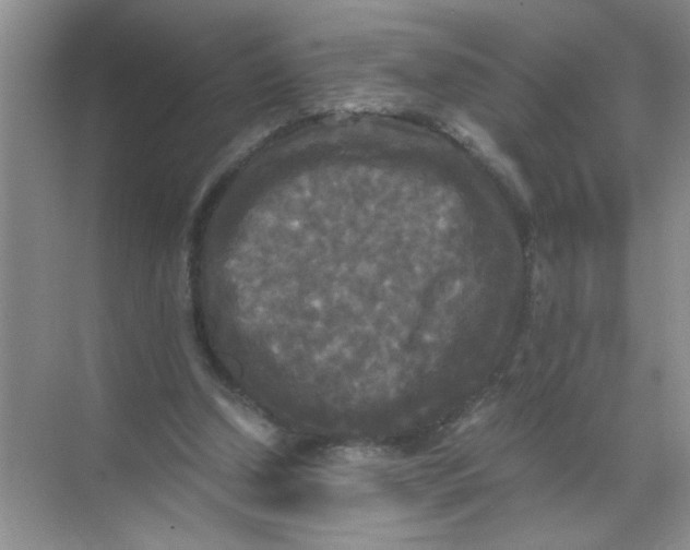 X0000071760250200607220017