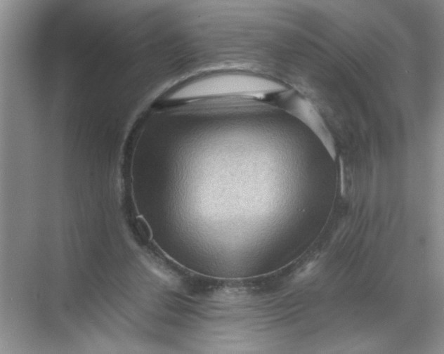 X0000071760252200607220017