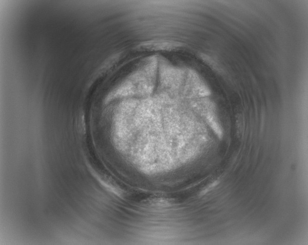 X0000071760254200607220017