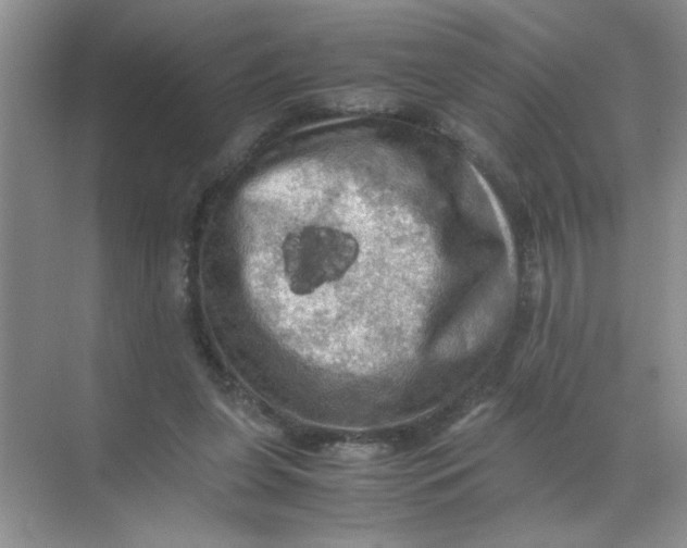 X0000071760255200607220017