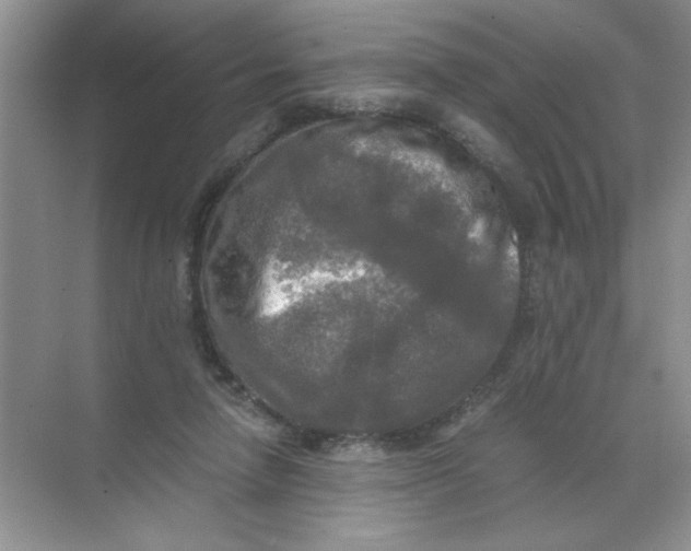 X0000071760258200607220017