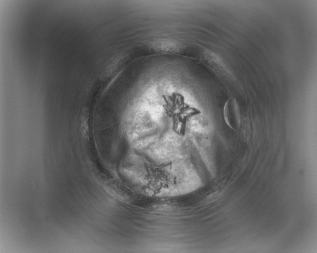 X0000071760259200607220017