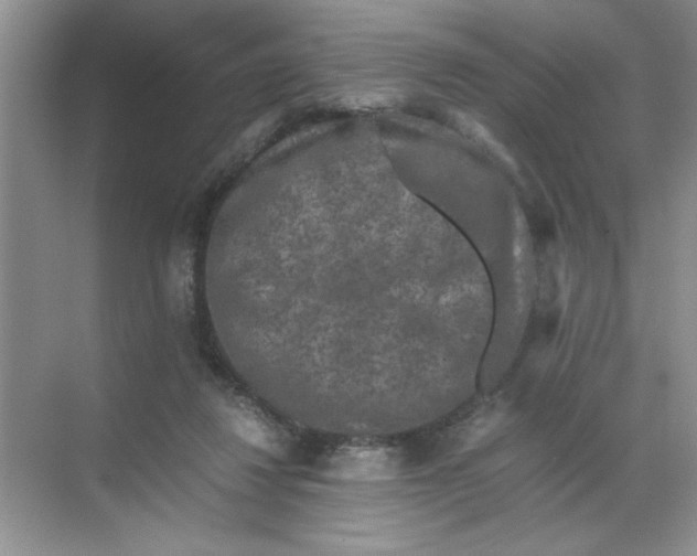 X0000071760260200607220017