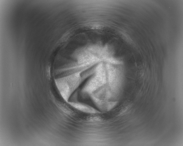 X0000071760262200607220017