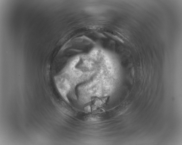 X0000071760263200607220017