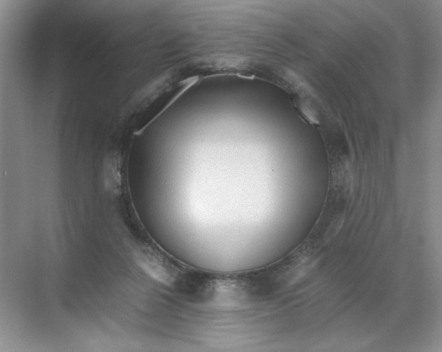 X0000071760264200607220017