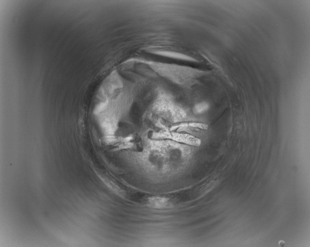 X0000071760265200607220017