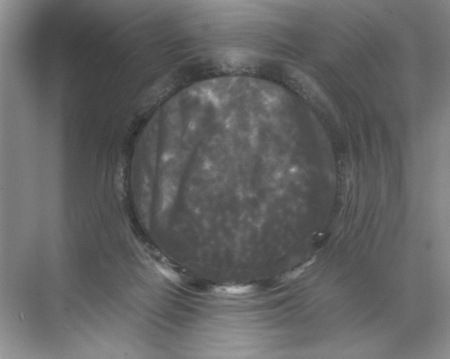 X0000071760266200607220017