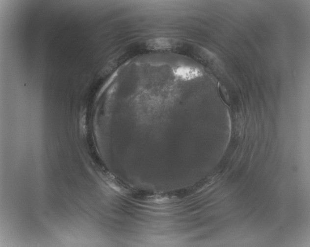 X0000071760267200607220017