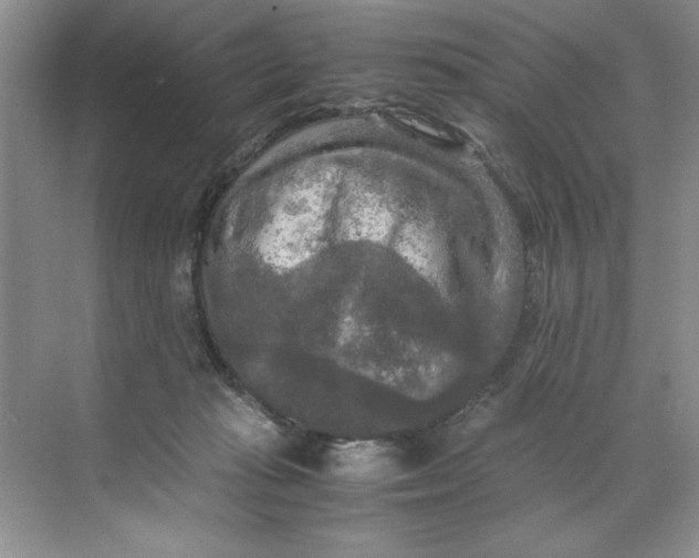 X0000071760269200607220017