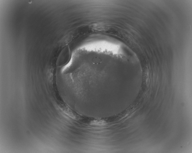 X0000071760271200607220017