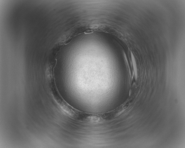 X0000071760272200607220017