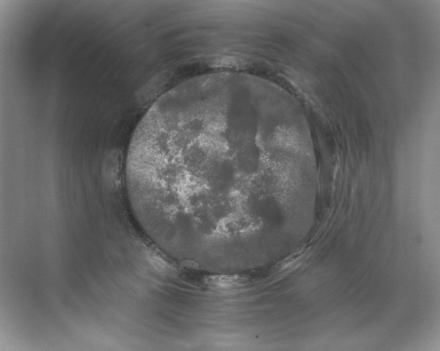 X0000071760273200607220017