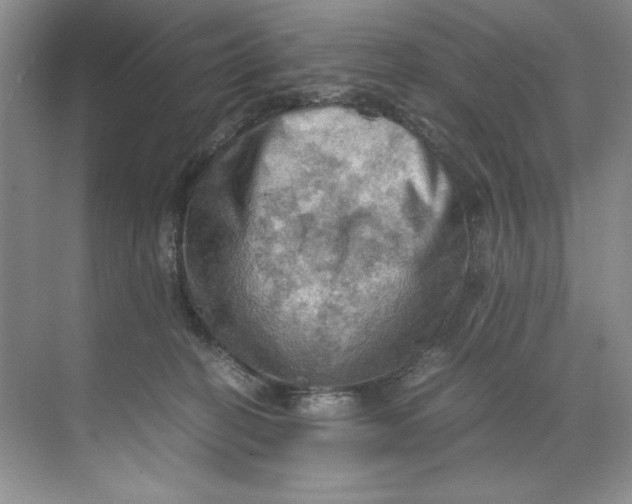 X0000071760274200607220017